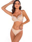 Desirable Brief Panty