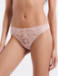Venus Brief Panty